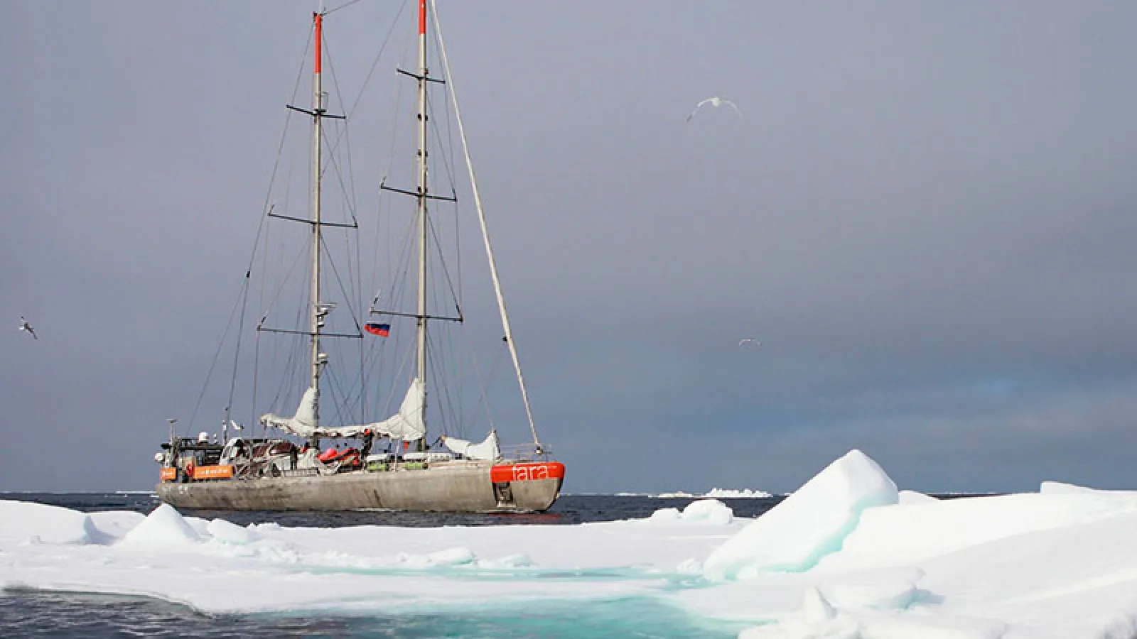 Boat in the ocean next to iceberg