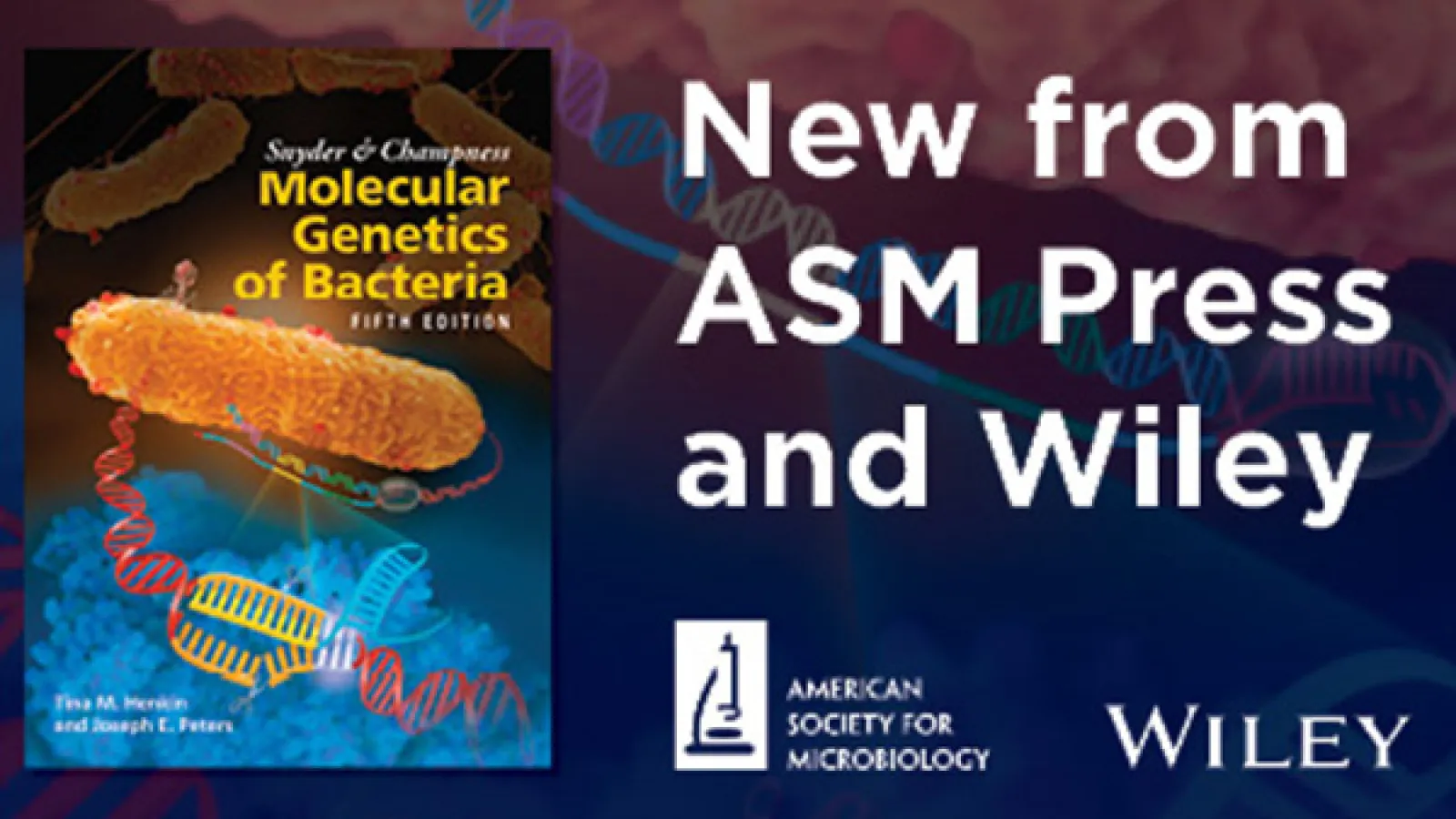 "Molecular Genetics of Bacteria" by Tina Henkin and Joseph Peters