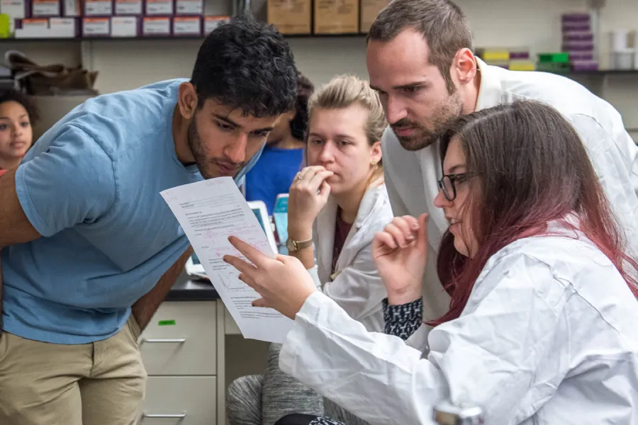 Students working on microbiology research