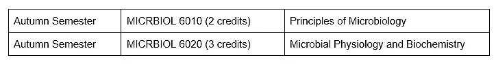 A table shows two courses that are taken Autumn Semester of the first year of the PhD program