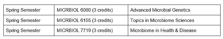 A table shows three courses taken during Spring Semester of the first year of study